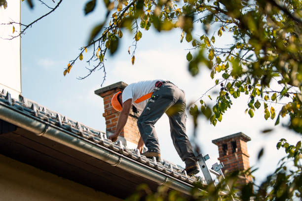 Best Roof Moss and Algae Removal  in Republic, WA